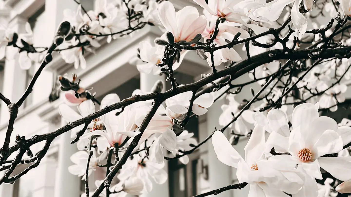 Aesthetics Clinics in Cambridge