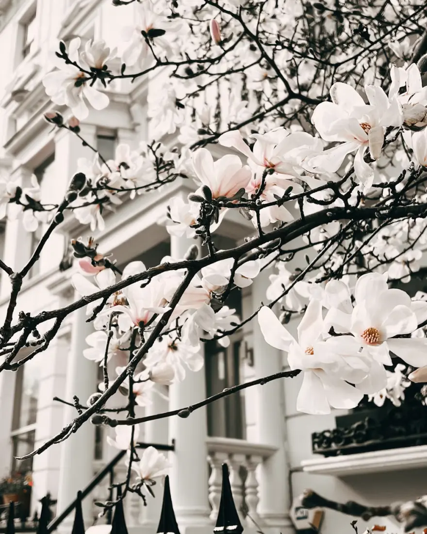 Aesthetics Clinics in Cambridge