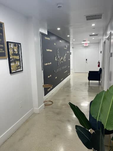 The Secret Plastic Surgery