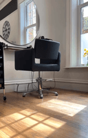 The Zenya Collective