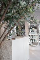 Injectual - Paddington