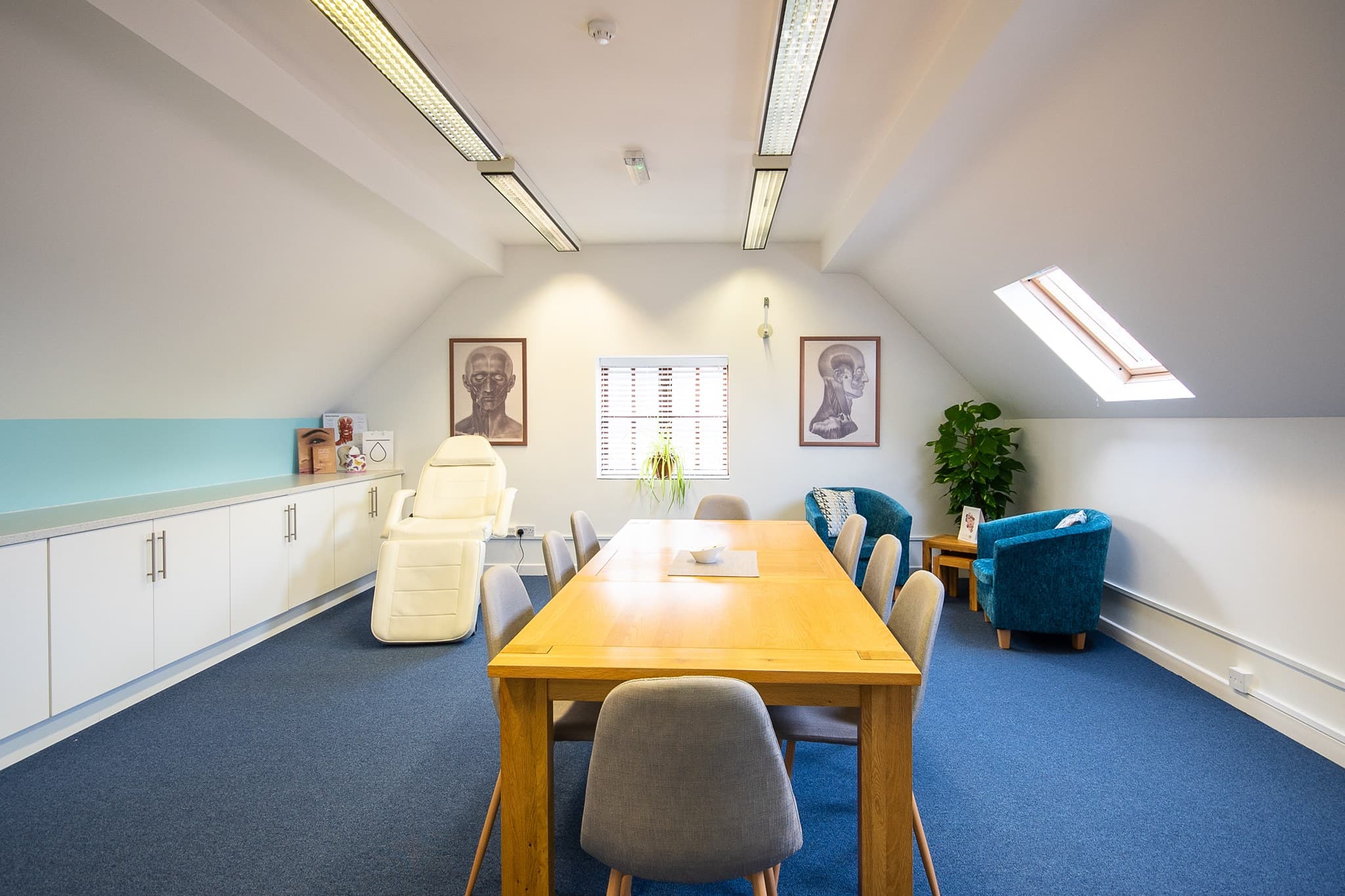 Pro Aesthetics Courses