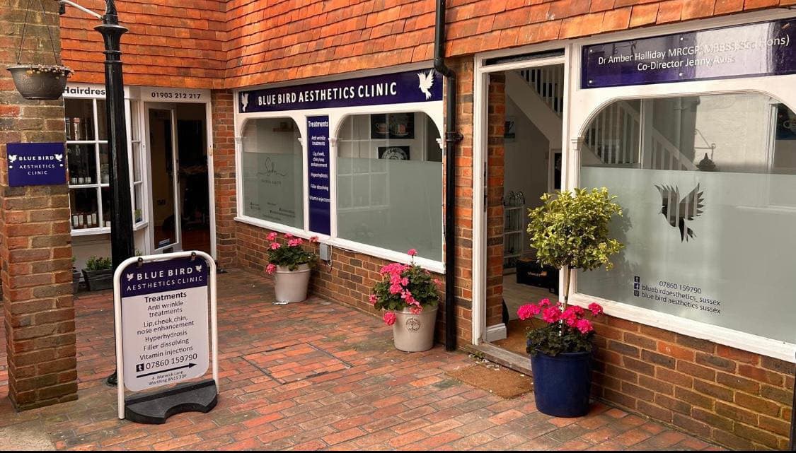 Blue Bird Aesthetics