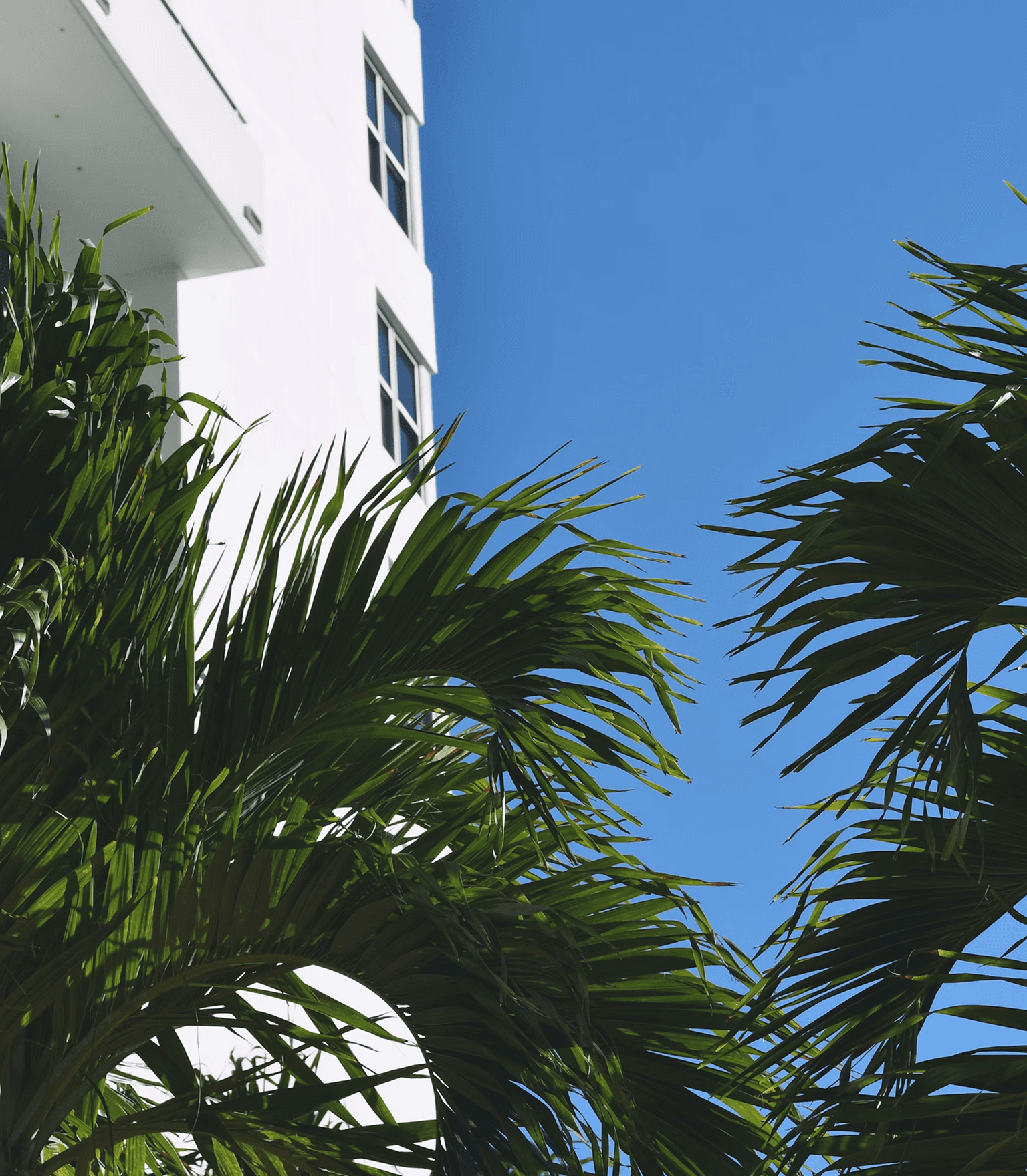 Best Aesthetics Clinics in South miami