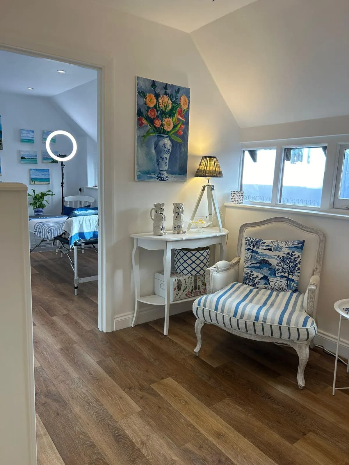 Blue Bird Aesthetics