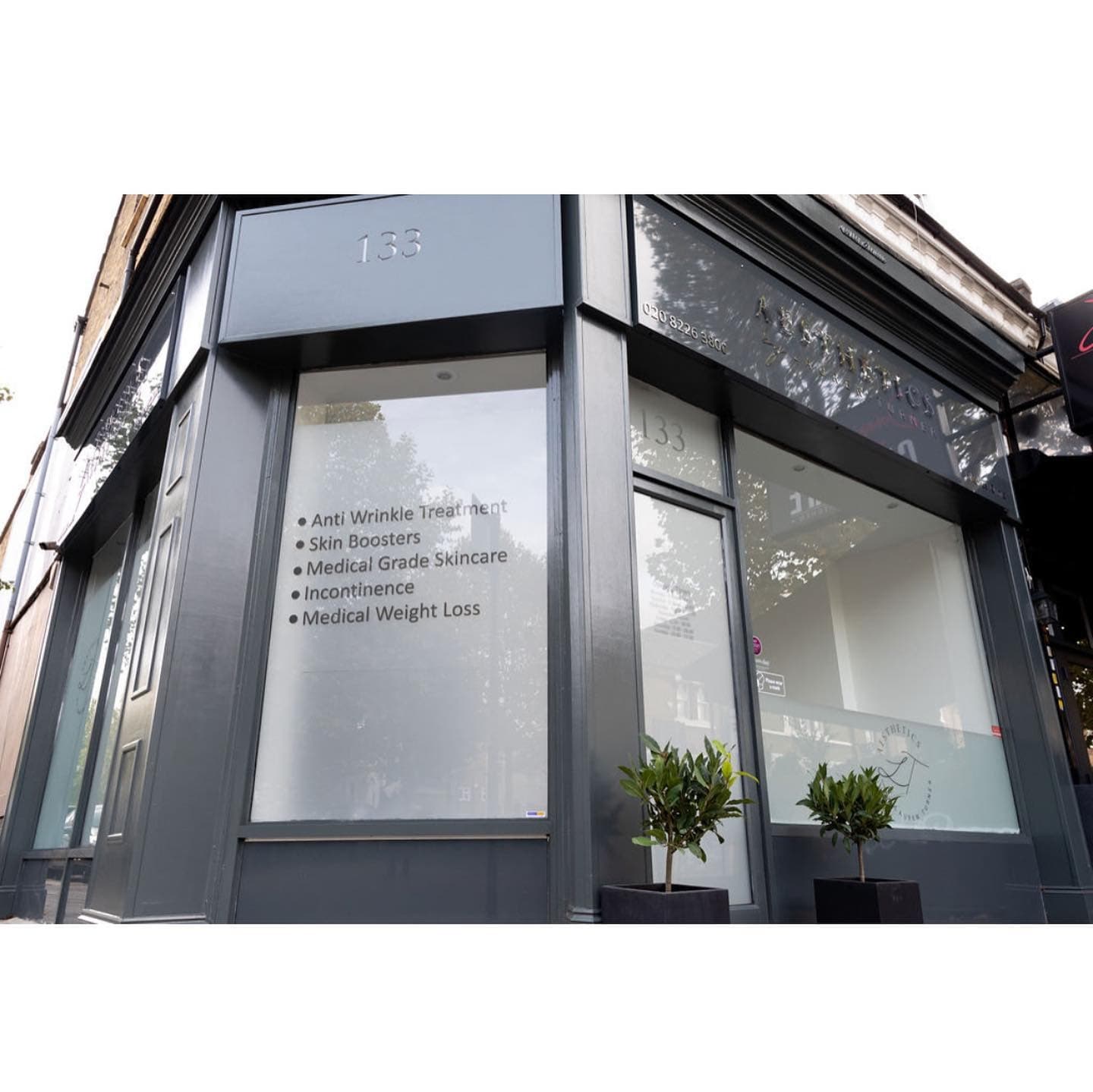 Aesthetics by Lauren Turner Blackheath