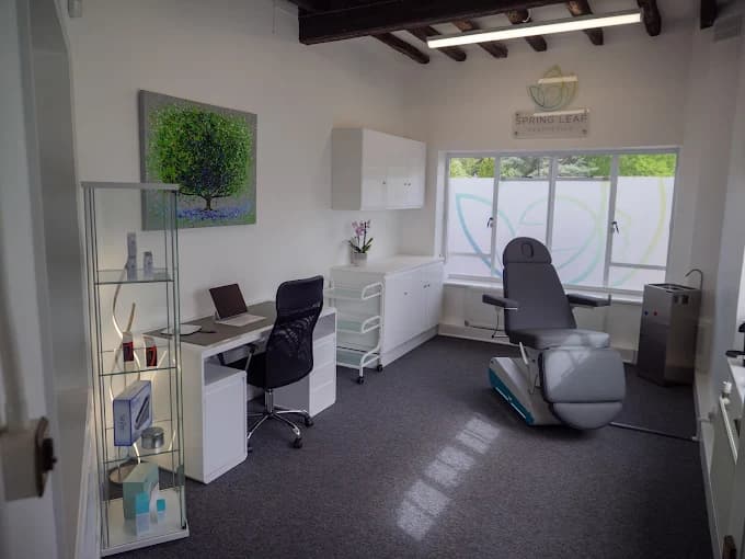 Spring Leaf Aesthetics