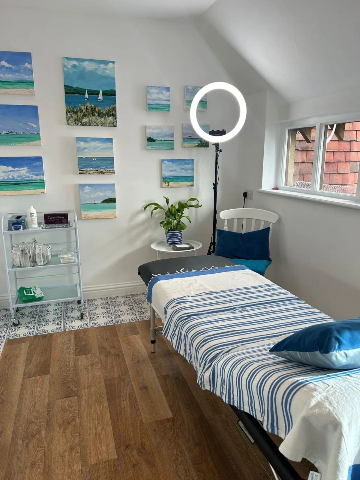 Blue Bird Aesthetics